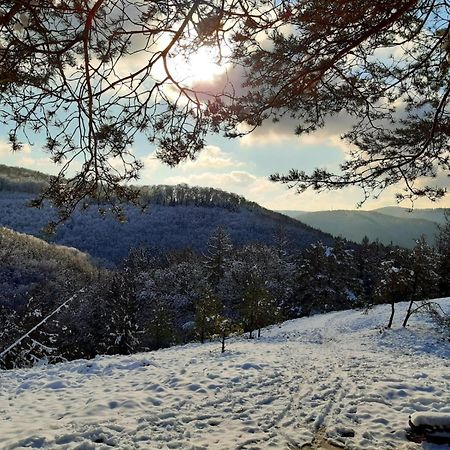 Ferienwohnung Westerwaldblick Grosszuegige Wohlfuehloase Mit Terrasse Oberelbert Екстериор снимка